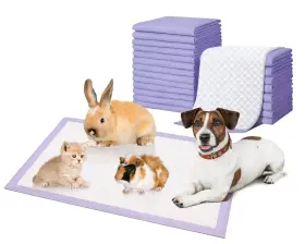 Kj-p0001-purple-l Kao Jing Rabbit Guinea Pig Pee Pads Disposable Dog Training 23.6 Inch X 35.4&#