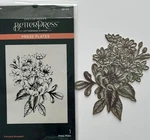 Spellbinders Pressed Bouquet- Better Press- Plates- Pre-owned Used. Price: $20.00.